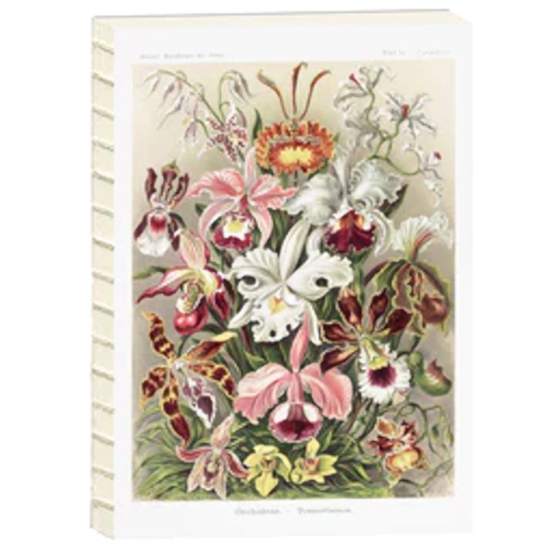 MEMMO Open Back A5 Sketchbook - Orchidae-Denusblumen