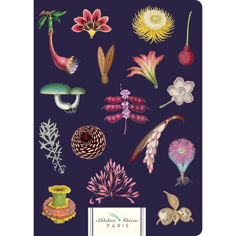 *Clearance* Alibabette Editions A5 Journal - Merveilleuses