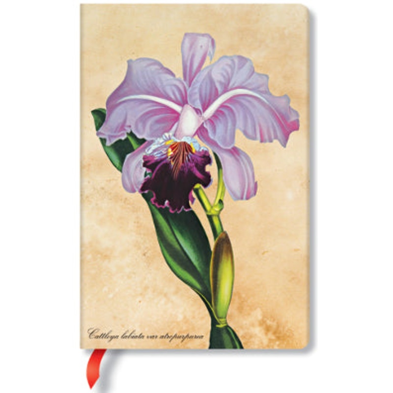 Paperblanks Painted Botanicals Brazilian Orchids Mini Unlined Journal