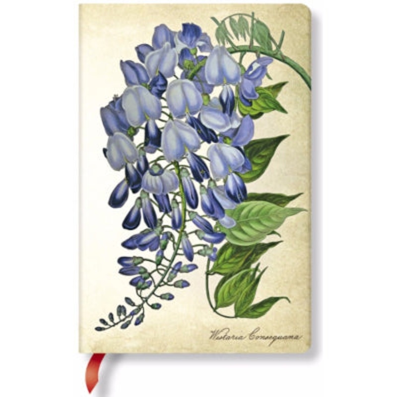 Paperblanks Painted Botanicals Weeping Wisteria Mini Unlined Journal