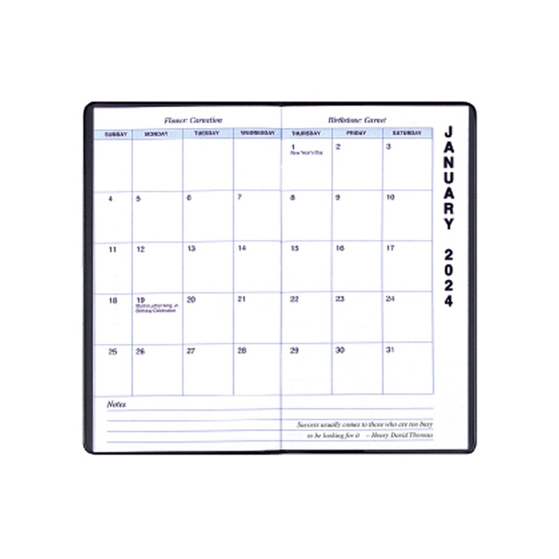 Payne 2025 Skivertex Upright Monthly Pocket Planner (3.5" x 6.5") (Assorted)