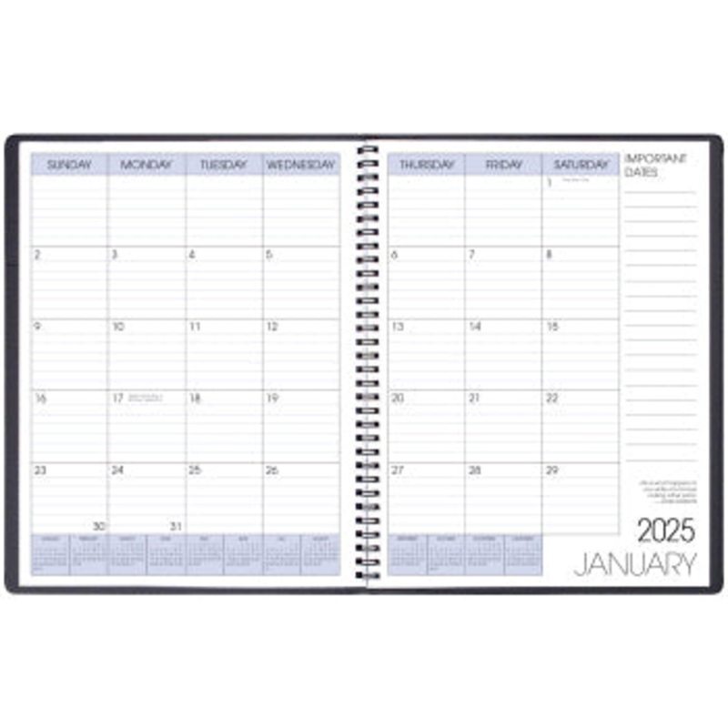 Payne 2025 Skivertex Monthly Planner (8.5" x 11") (Assorted)