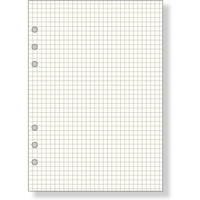 Raymay Davinci Note Refills A5 - 5mm Grid