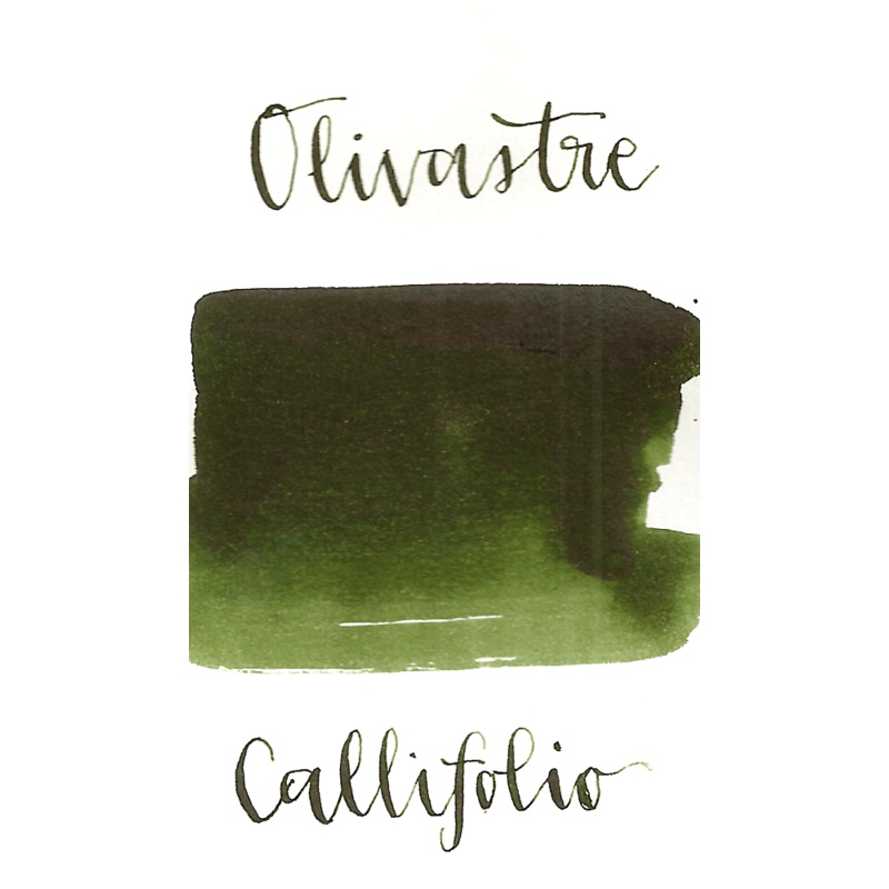 Callifolio Olivastre