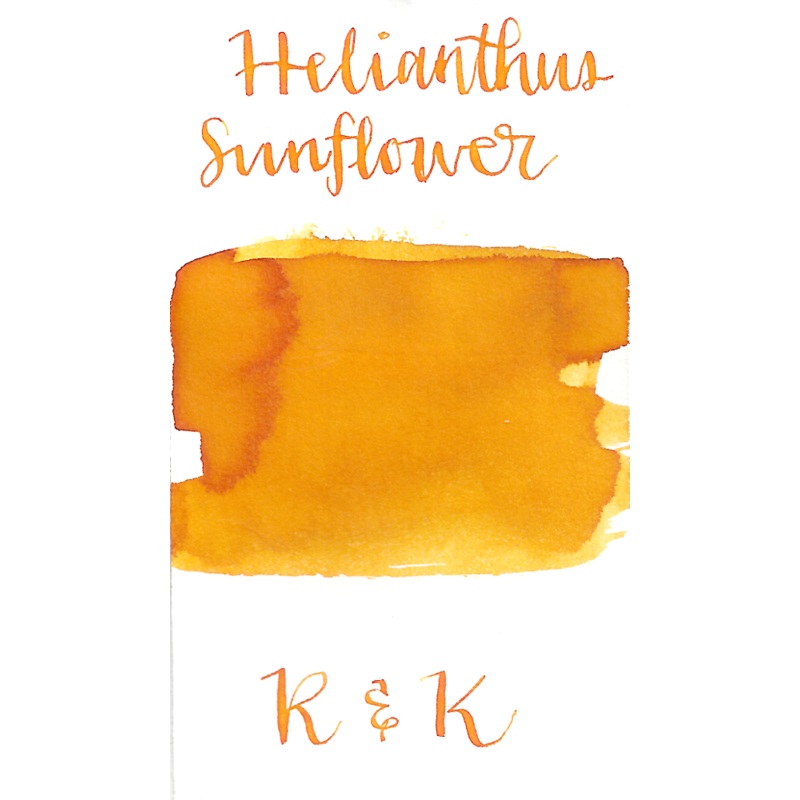 Rohrer & Klingner Helianthus Sunflower
