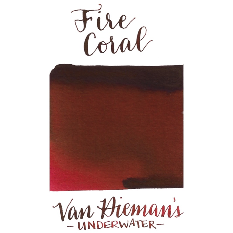 Van Dieman's Underwater Series- Fire Coral