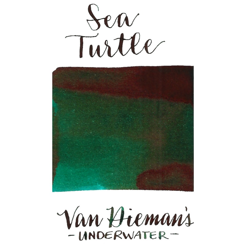 Van Dieman's Underwater Series- Sea Turtle