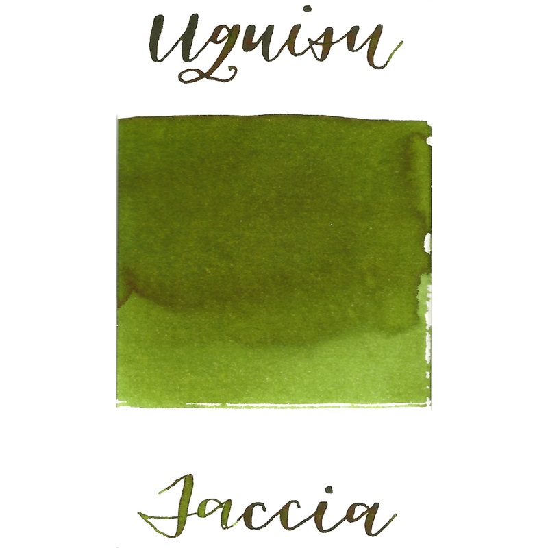 Taccia Uguisu Olive Green