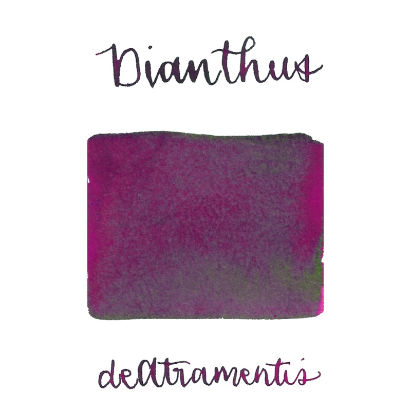 De Atramentis Fragrance Dianthus, Magenta