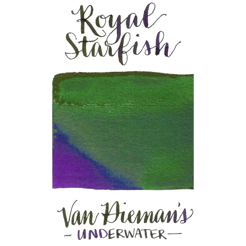 Van Dieman's Underwater Series- Royal Starfish