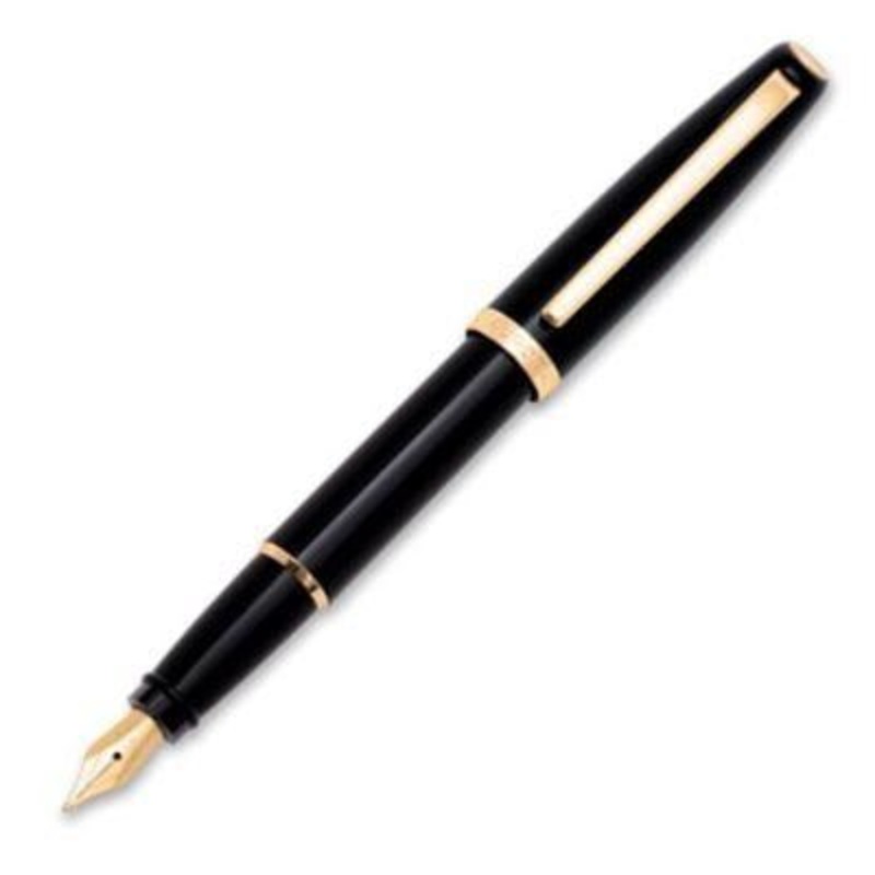 Aurora Style Resin Black Gold Fountain Pen