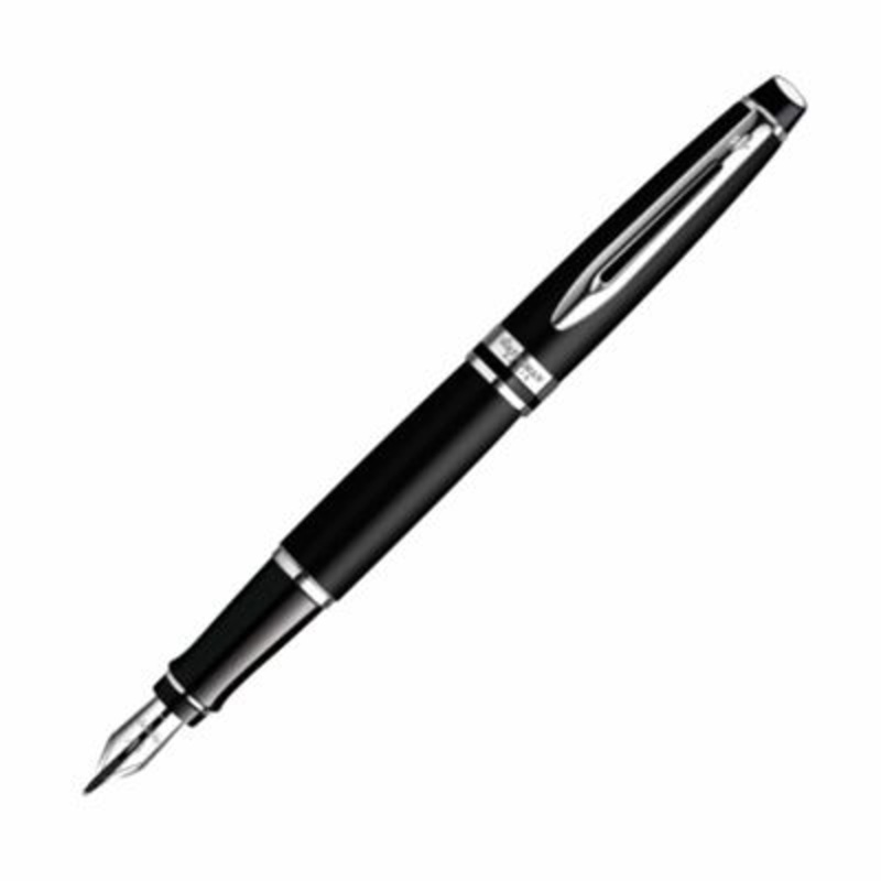 Waterman Expert Matte Black Fountain Pen