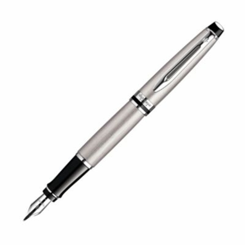 Waterman Expert Stainless Steel Fountain Pen