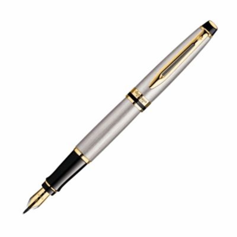 Waterman Expert Stainless Steel & Gold Fountain Pen